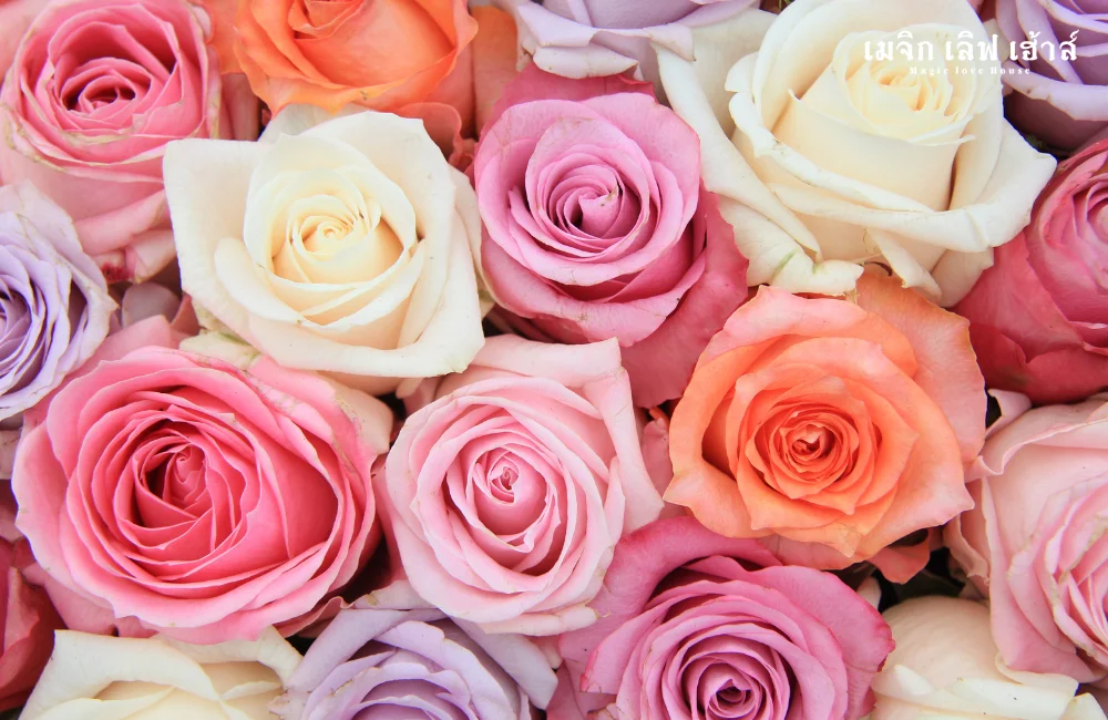 4.1 ความสำคัญและความหมายของดอกกุหลาบในงานแต่ง.png